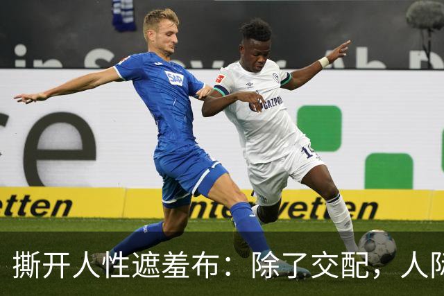 撕开人性遮羞布：除了交配，人际关系全是交易，别不相信!