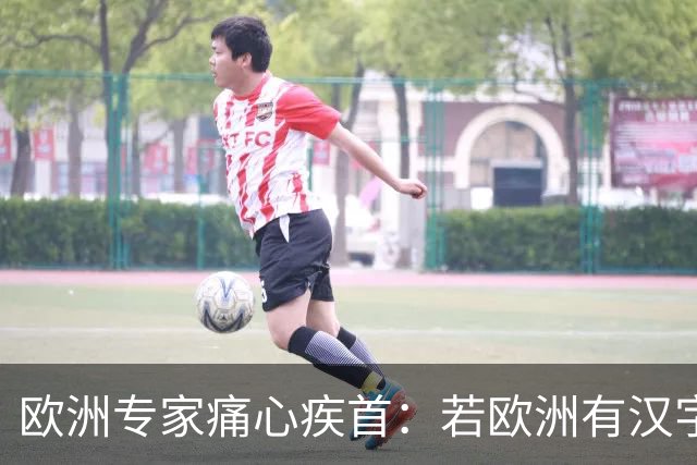 欧洲专家痛心疾首：若欧洲有汉字这样的文字，罗马之后就可统一了